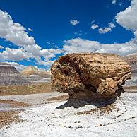 Petrified pedestal log along the Blue Mesa trail in the Painted Desert and Petrified Forest NP, Arizona, USA